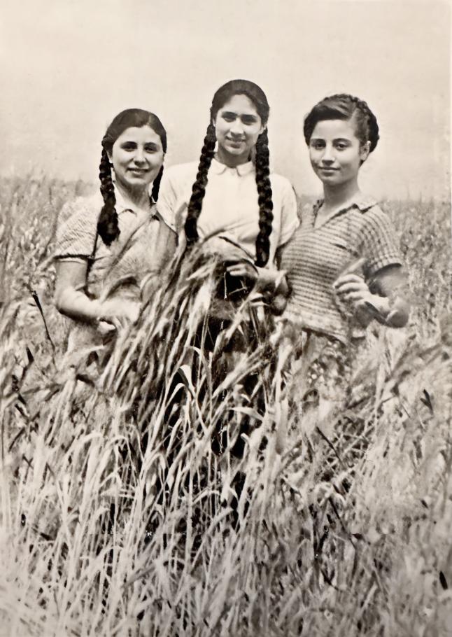 From left, Dorothea Demetriadou (Papadopoulos), Marikoula Theodosiou, Ermioni Karouta, Thessalonki, Greece, 1949. 
